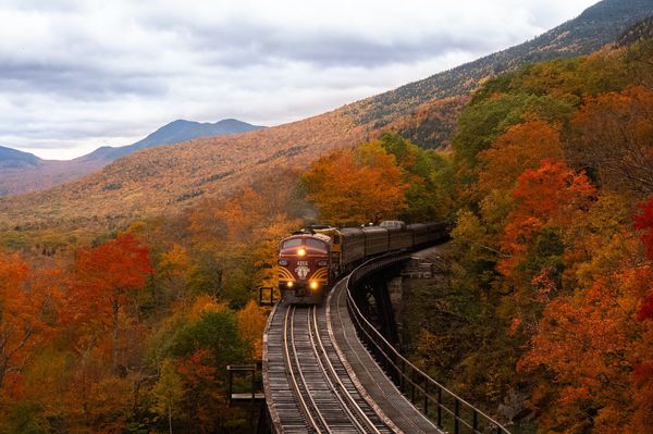 Photo d'un train roulant entre les arbres en automne